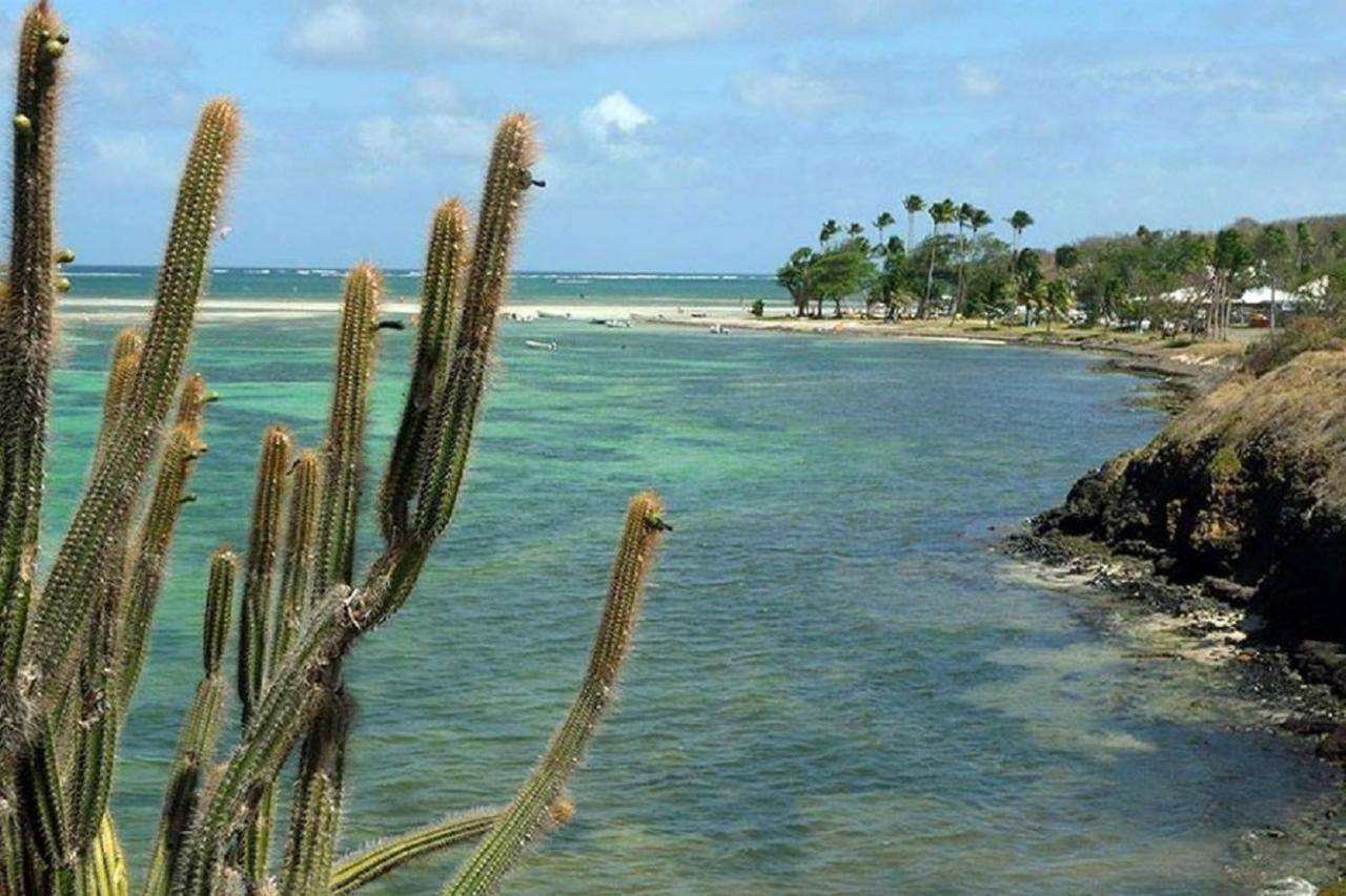 Oceane***Route Des Plages***Marina***Wifi Le Marin Exterior photo